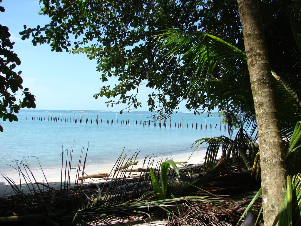 Babilonia Aparthotel Cahuita Exterior photo