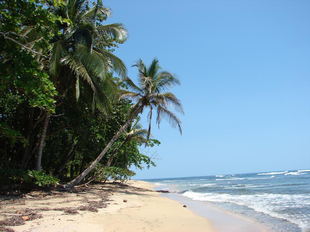 Babilonia Aparthotel Cahuita Exterior photo