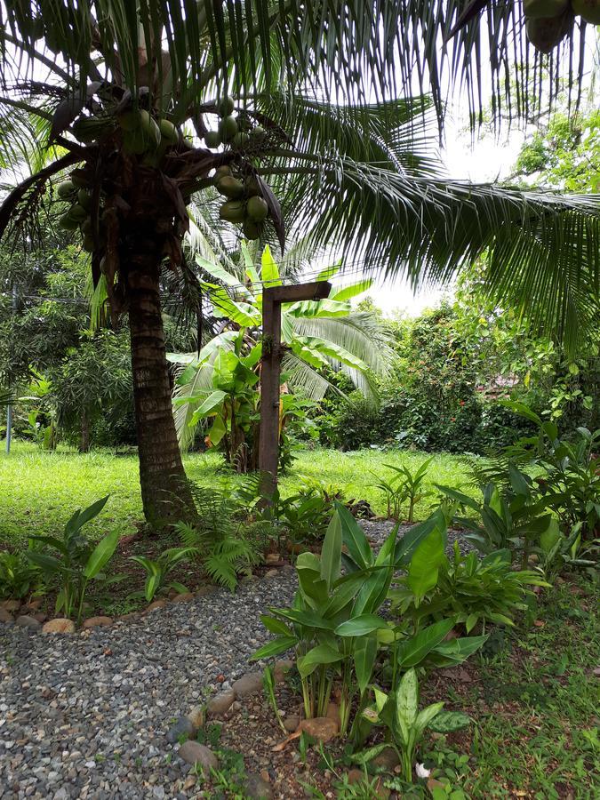 Babilonia Aparthotel Cahuita Exterior photo
